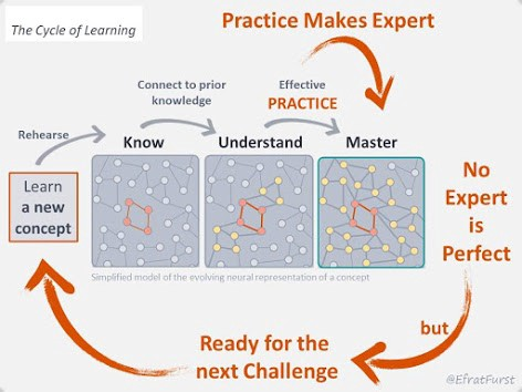 Dr frust’ cycle of learning