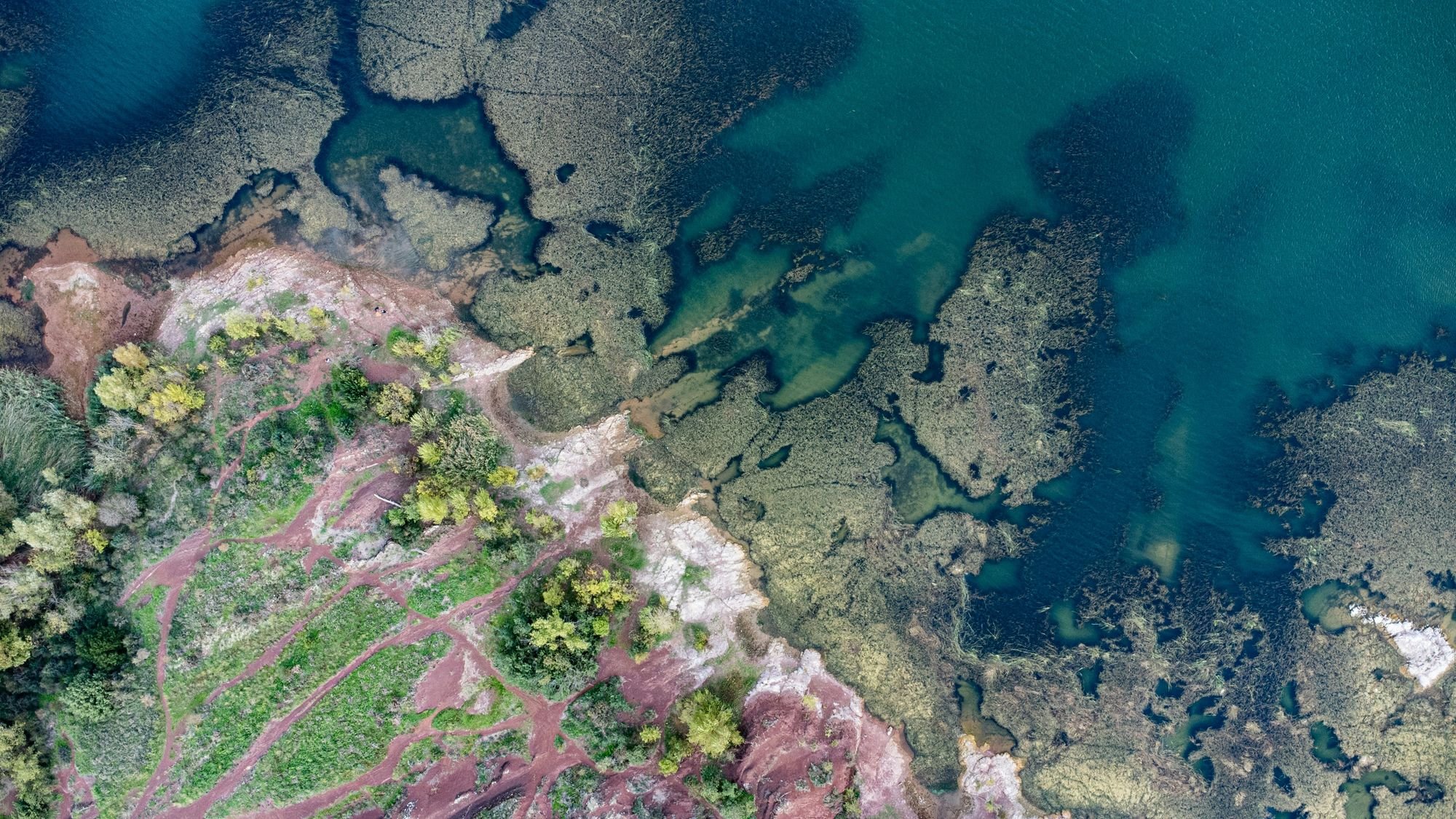 From algae to action: collective conversations on climate change