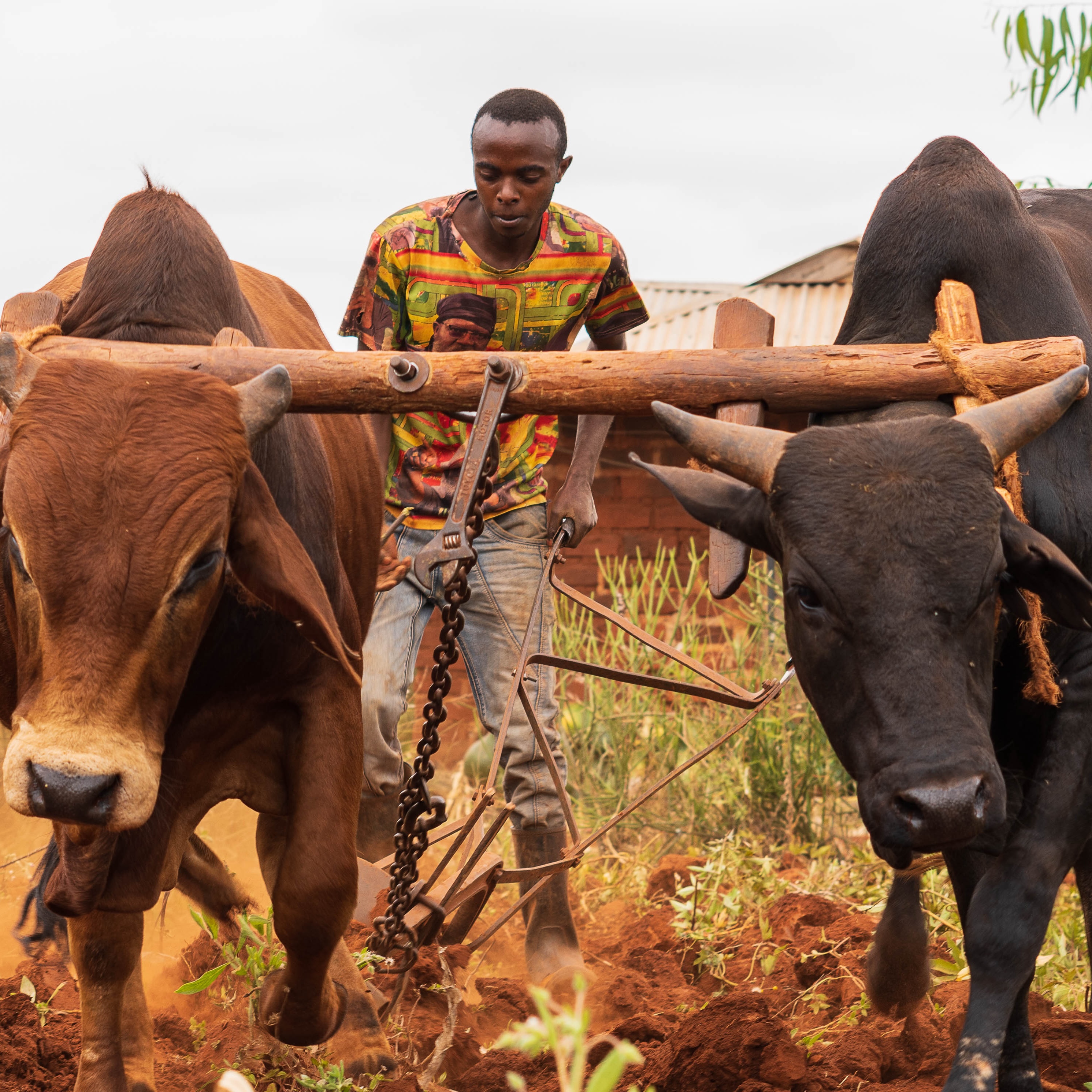 Minding the gap between funding and impact in Agritech
