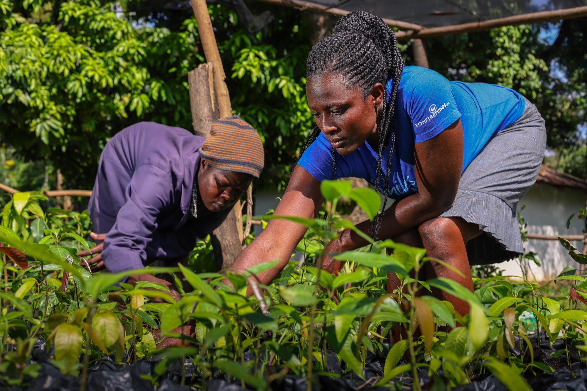 Two women tending seedlings in a plant nursery