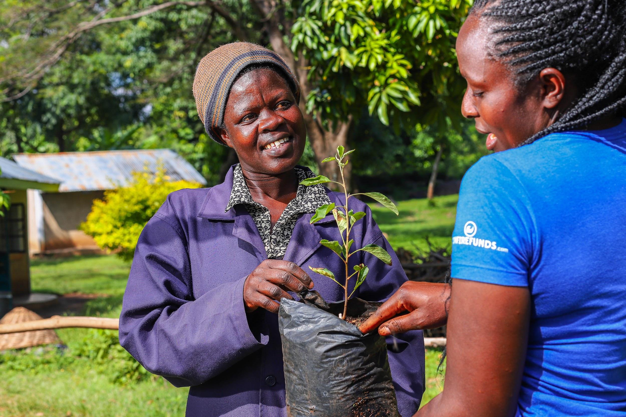 Two women inspecting a tree seedling together at a nursery in Kenya